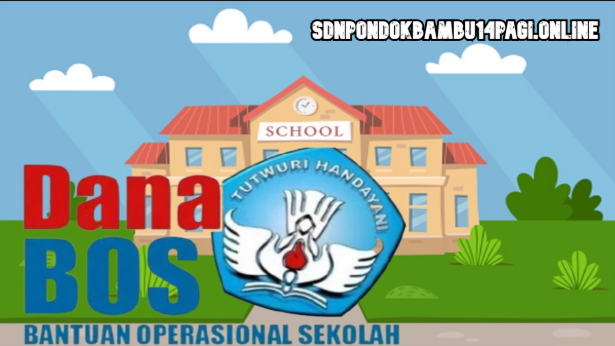 Kebijakan Penggunaan Dana BOSP 2025 Berubah, Honor Tenaga Non-ASN Terdampak!